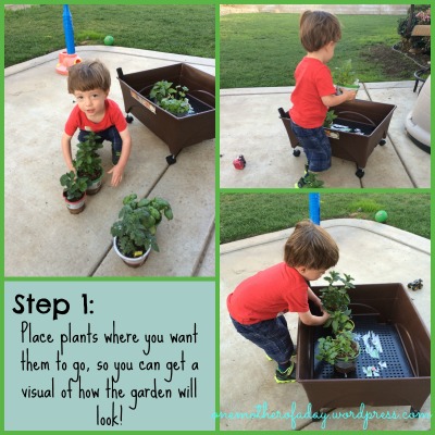 Step 1 in gardening with a toddler