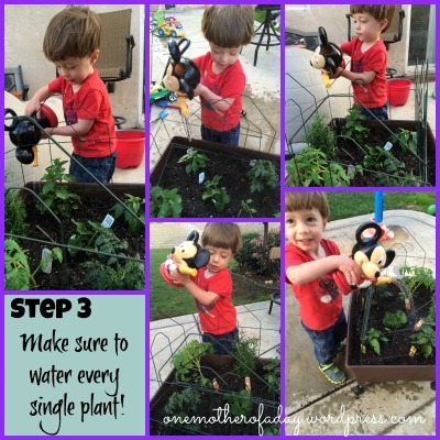 step 3 in gardening with a toddler