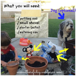 Gardening with a toddler